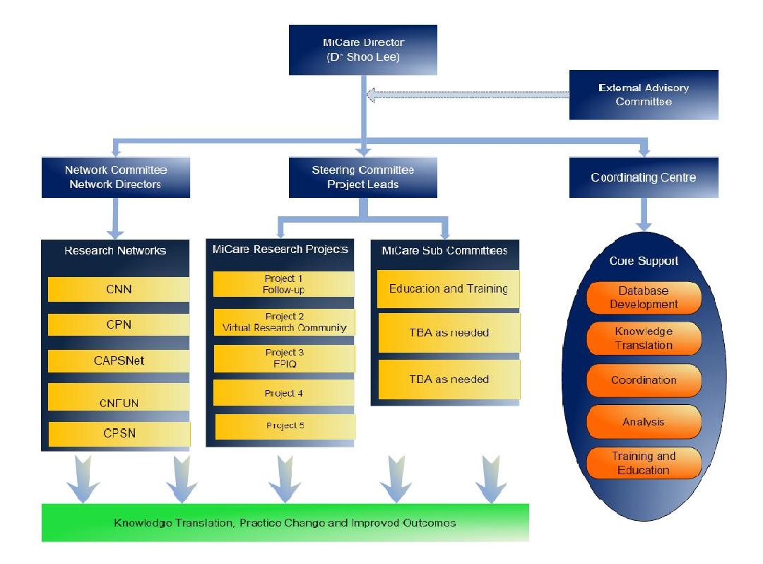 MiCARE Organizational Chart